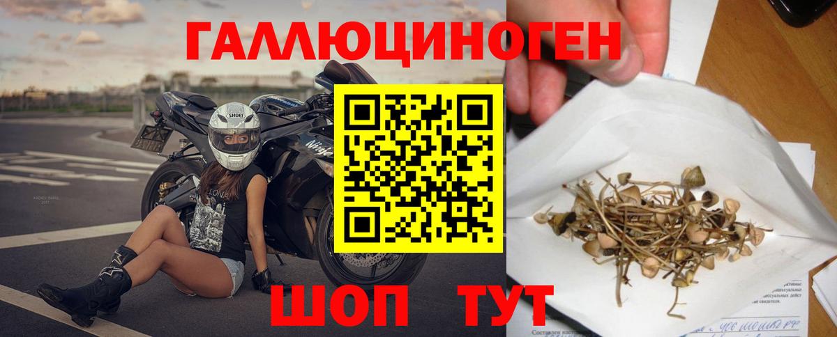 Уссурийск  Галлюциногенные грибы Cubensis  Вход с VPN 